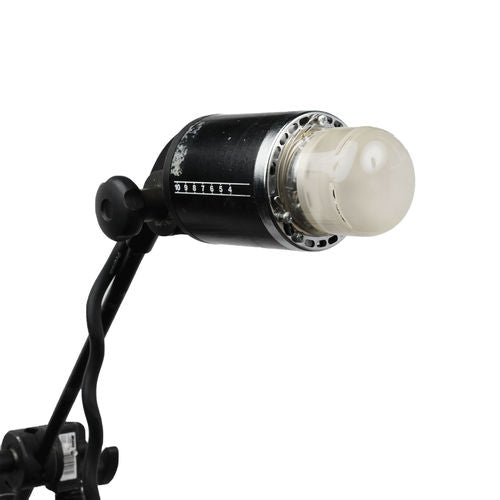 Profoto Pro Head W/7" Reflector